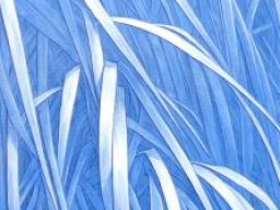 Wind I 120x90 cm
